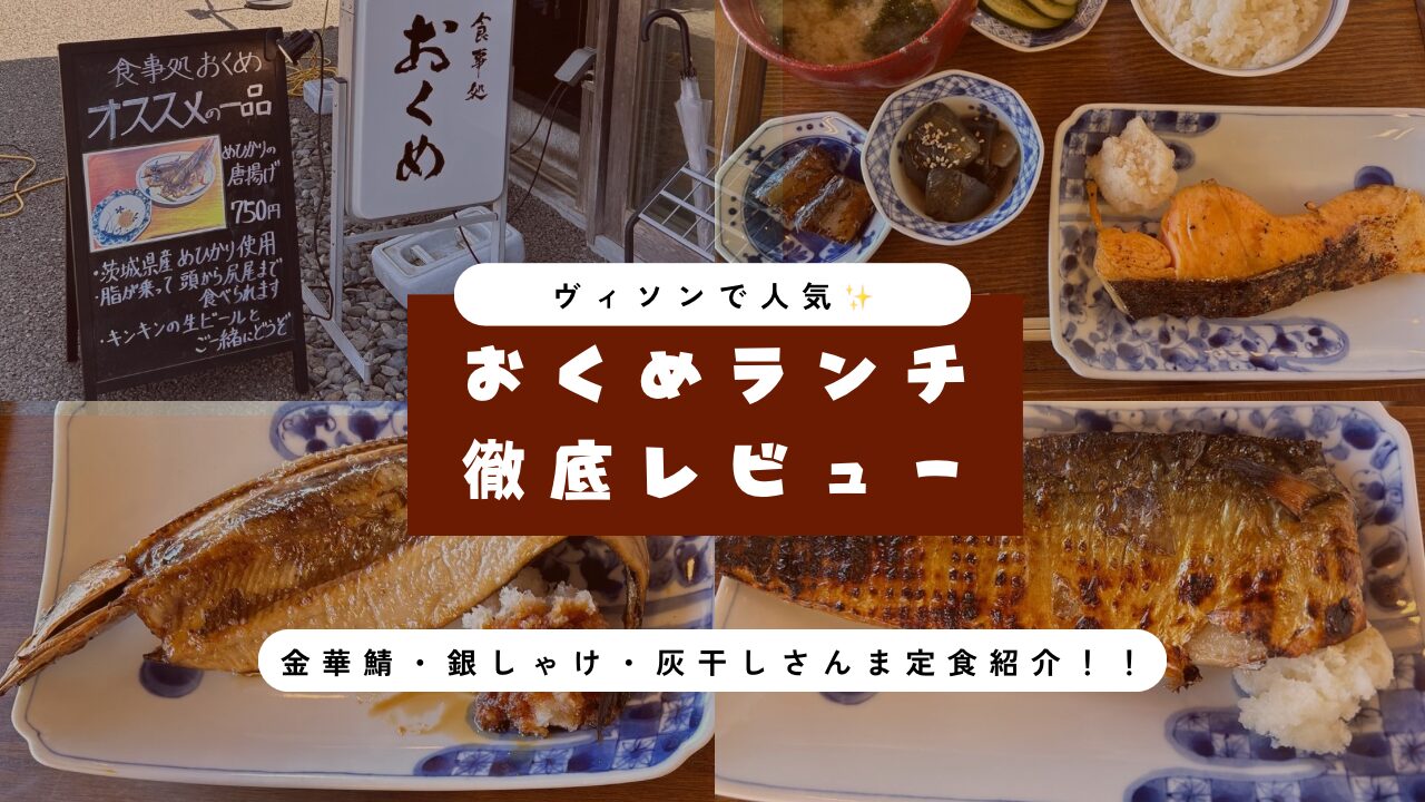 ヴィソンおくめレビュー